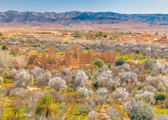 FES, MARRAKECH AND THE DESERT VIA THE ATLAS (3days / 2nights)