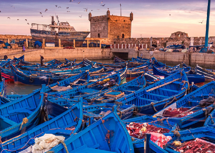 Day trip Marrakech to Essaouira